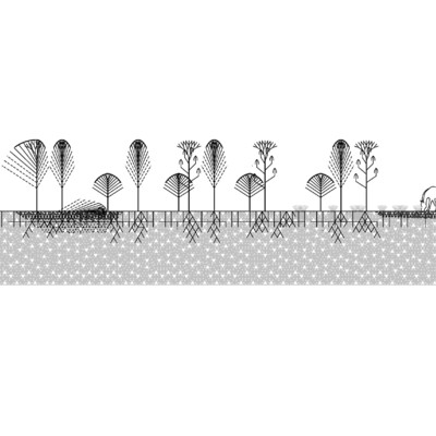 Analysis of the Forest Plots